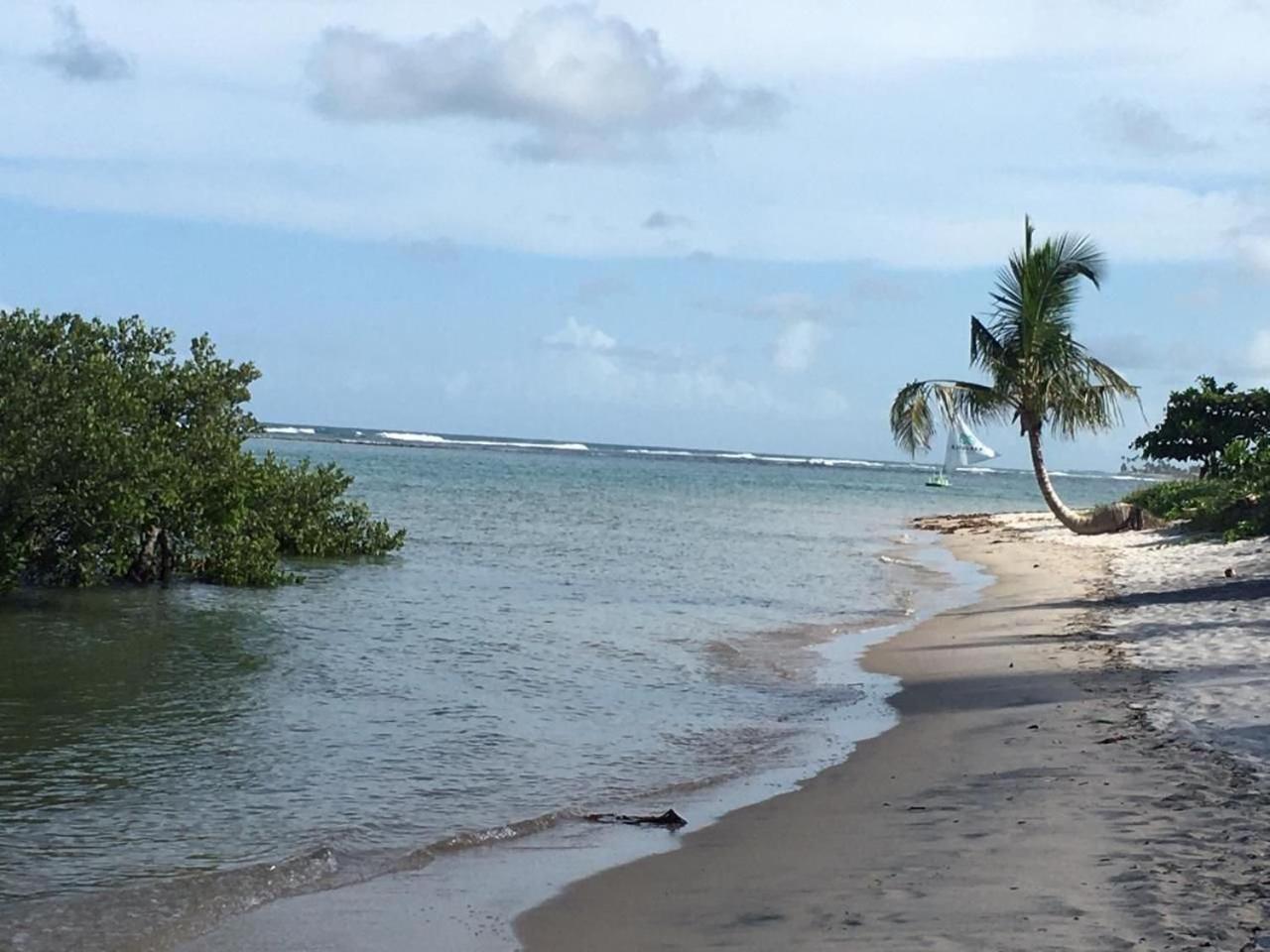 Polinesia Resort - Porto De Galinhas - Apartamentos Com Somente 1 Opcao De Terreo Com Piscina Privativa - Acesso Ao Hotel Samoa 외부 사진